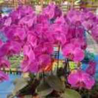 3210a6ea50a3f5f8186b7a28b336a5e4c7e1e5c2