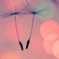 7ece359eeca2f3e9913f1a3bed8fc71c6a68008b