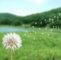 79a5359dabc223083658dffb75c0c62159a585e0