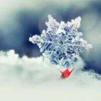 B94ec7ffa3f0515ea31097ed9a268211ab6456fe