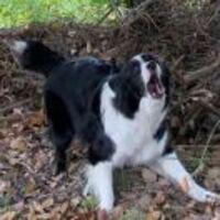 82635013ec096d335b39e3e0fce78c1b31e46a1b