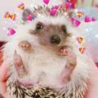 72e38c0397f8407288f64c58a0d9142c1e4c3a46