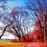 42b8c182a27e8b330632fb3e955cf2eed2dd0079