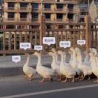 5acd380d848ea51f9bfa0be6f2b701dd91c0f235