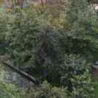 D0d5c90513df4714c8dffacbc4a9d9447005992d