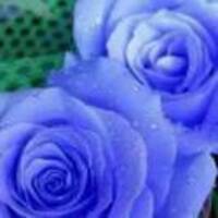 Ea4267e05981a30746779c98e3e0bb8fe7b0a48d