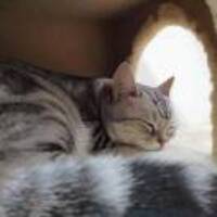 Fec11f934566bbee06716366ffe456330416333c