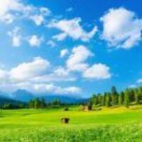 69b34e8e80d26415526c5388a7861ea1458523fe