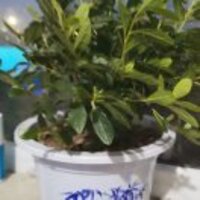 0316132eb11b80d73ce8bb996e4b3a77ad2331ce