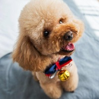 08dae95d3c51810fc5a989971e210aa3099c49b2