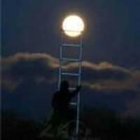 C3d279a9d8a38f6898cbd37edce6017952e2a223