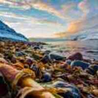 Cda9a46c5edd5385ff22b381fc20c9bdbf473bb1