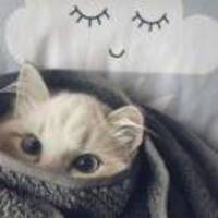 546d913bac23b0a441a8c8286481acaa1cdc0645