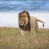 Aa59991cda05841b9b87facaa31928a3a2f131c2