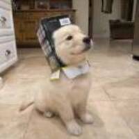 Ac25126ab504e5e9f6827ec0ef78bef98dc50cfe