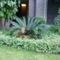 B6ad186694a315eeb1c2d8a40c21a2c33bdc7e0e