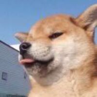 E24347313a3d453fb714681bf60922e020b1b415