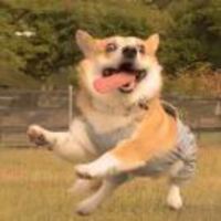 16f24ba6c12bbf97c5fc10740d52848ca23da977