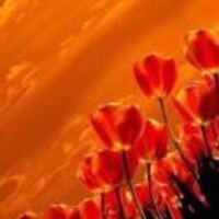 661293e5fecc055993d6ae0aa4d86c4a3e101863