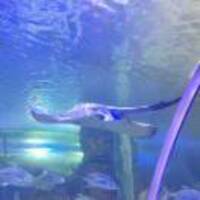 B7bc5cb8b7ce321ee59552cee06c5d11205e811b