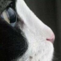 E0973a713bf21acb72540c566cfdda8ca169a3b9