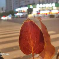 17d181ec91b41db62729100a7862683d01cbca8c