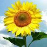 A21b523ecf5597263dce84c69dd04488552f478d