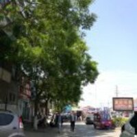 537d00b0f642ae7f852f3e2c13a88851e0c9f950