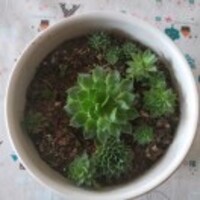 4ffd100711e4473edb72c1c0a518ff61ea98fd28