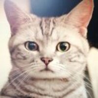 31e3288efce41137c36b2c30ee46b963195df973