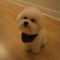 65fc3acd97e921c210efcefef0196d1c530c4b08