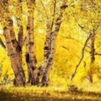 5da8a6099b43924c8d1bd9d5a9bf2f3d18d7903d