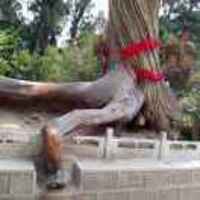 41ca5fa50e3aa8fa8938b9c1970493aea289714b