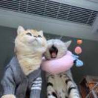 0c472889aedef36d940f5a119a8377744599b13f