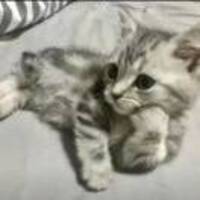 757d614f25c7ad753b7de316bd9b2c591ae0ad18