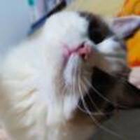 E2e9f0e4e2bab49526c4972e0feed6c54833d695