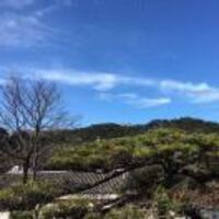 35f8c209cc7c057c58b7cff9bf67b9a59cea34ae