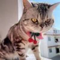 639ca0d6c993b3aebb0522cad0a84bde733c1d6e