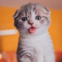 27d900646aa5effb86fe5d4be038989cf03d2c74