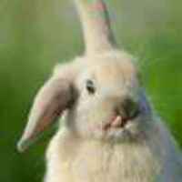 7eb694b7ca2ea3a9d4ce4a8c60ac57f6debed872