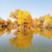 988bc754cbddeaf240a20aefa5608421e218ab12