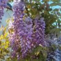 2cf4fb0b8a9c5429b790e1eac50193391bb00225