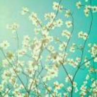 8e764021e2baa3693ea509dec4de2703bea1a510