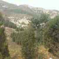 41eab59a2383fe86557f1e7dc5f3863c571eff21