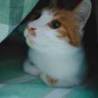 Ec8b29542071725c7dec35e5f3105611a86f4776