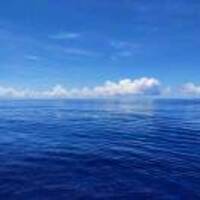 1598aaf9fa893a1868f2566b05c79437d1ee2643