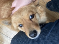 1cbdc0d72a7655af1f078324e0bf52edf65e142f