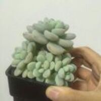 310365c7f55ce3a4d6262c1a72560d3990c39267