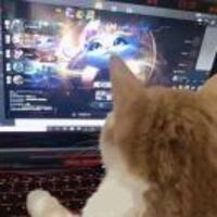 D87e2c309bbba71bc0a232114f139e95ee6f86ab