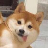 Ad6d09a268b1c4e1f30fd02f02d09aa0cb9a8ac2